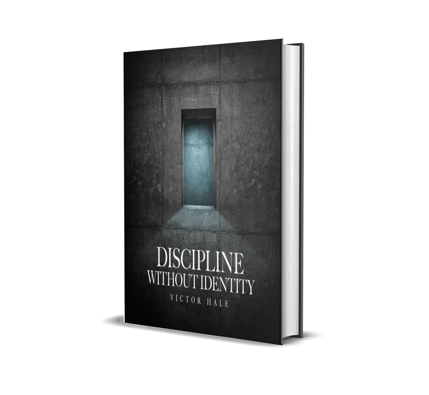 Discipline Without Identity by Victor Hale